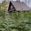 Иконка канала ЛенЛес - Магазин саженцев