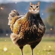 Иконка канала Смех И Только