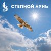 Иконка канала Степной Лунь