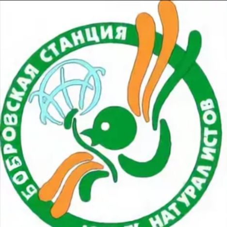 Иконка канала Бобровская СЮН