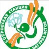 Иконка канала Бобровская СЮН