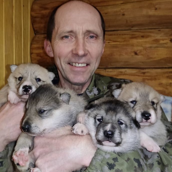 Аватар автора