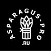 Иконка канала Asparagus pro