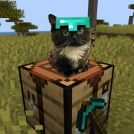 Иконка канала Sevonchikay