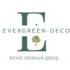 Иконка канала evergreen-deco.ru