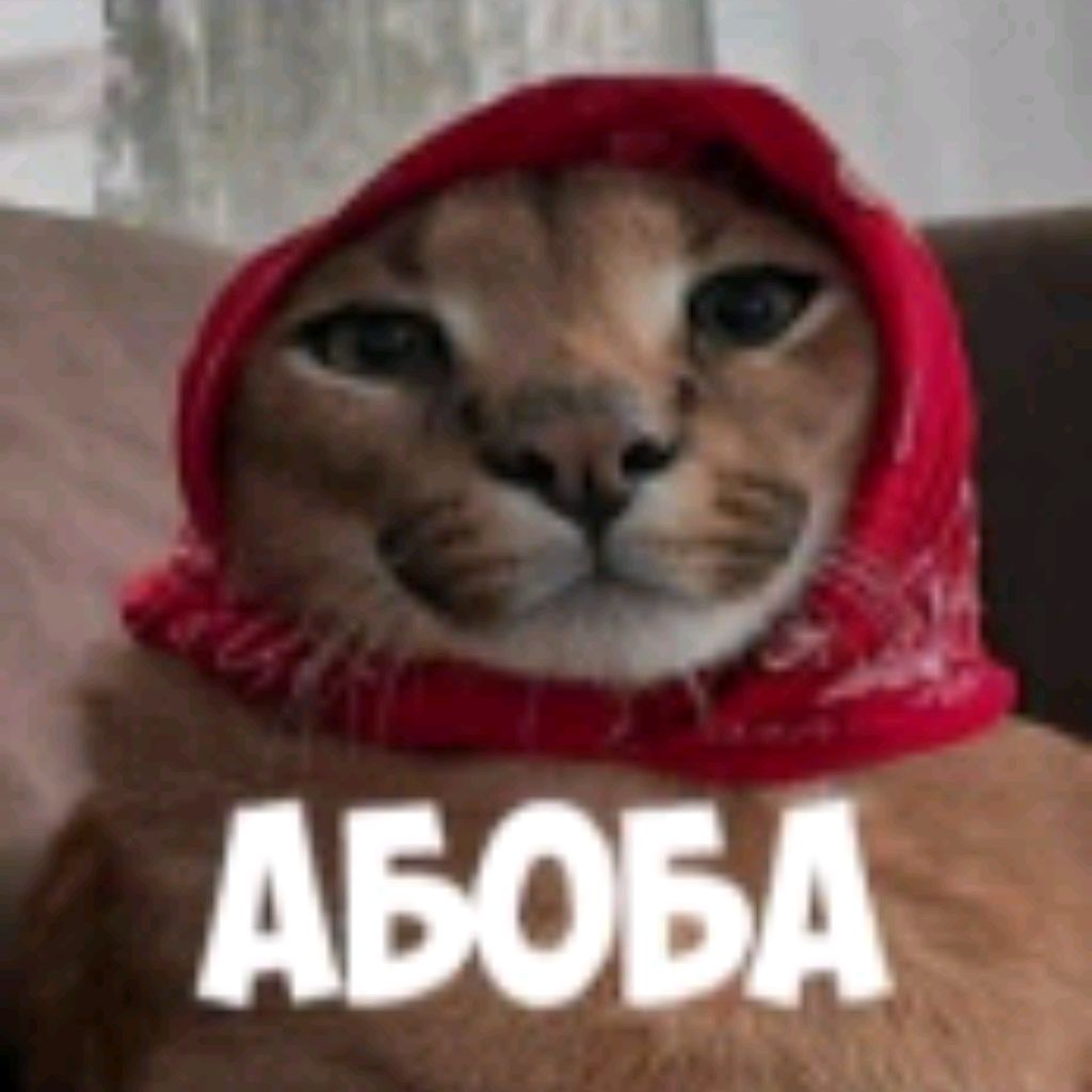 Аватар автора