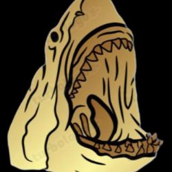 Производство моторных катеров и лодок SharkRider