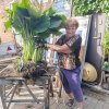 Иконка канала Tomik-green