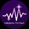 Иконка канала Медиа «Пульс»
