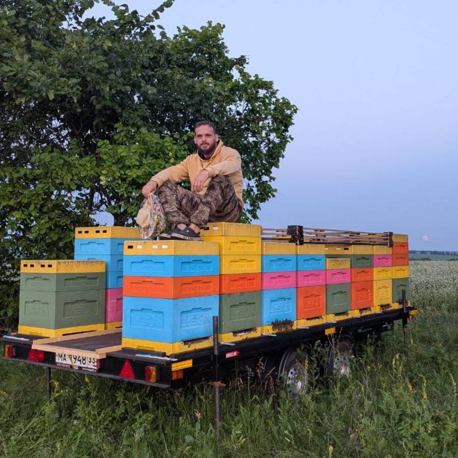 Аватар автора