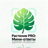 Иконка канала Растения PRO: Мини-ответы