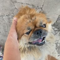 Иконка канала И без слов понятно