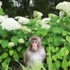 Иконка канала glsn.ann
