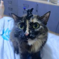 Иконка канала Саша123!