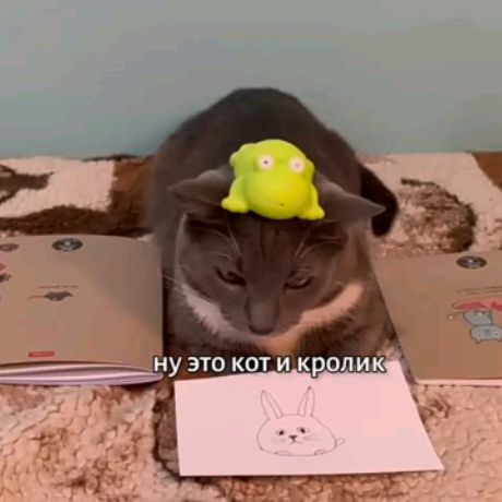 Аватар автора