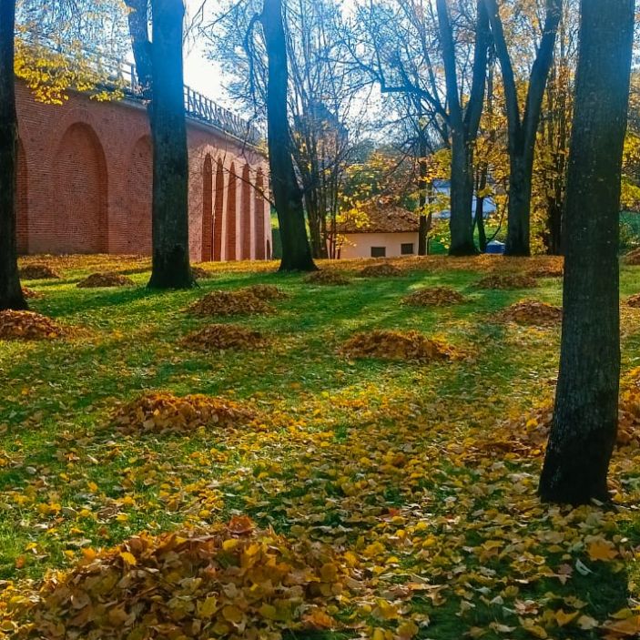 Иконка канала Nadezda