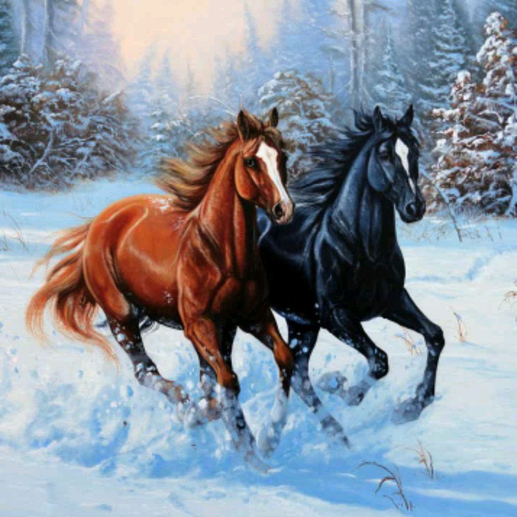 Иконка канала 🧿⚜️Цыганские Свадьбы 2026⚜️🧿