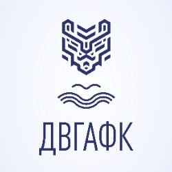 Иконка канала ДВГАФК