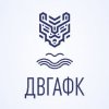 Иконка канала ДВГАФК