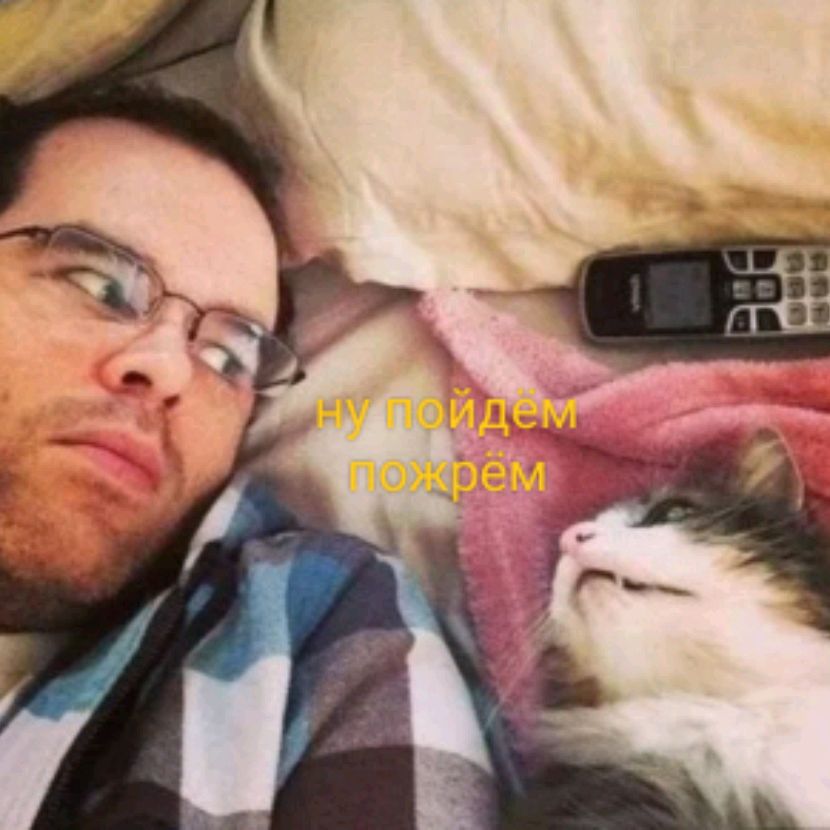 Аватар автора