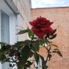 Иконка канала Егоровна