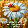 Иконка канала Садовод "ну с Богом"