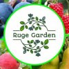 Иконка канала Ruge Garden
