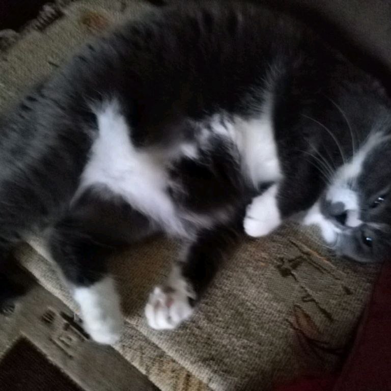 Иконка канала Софаня