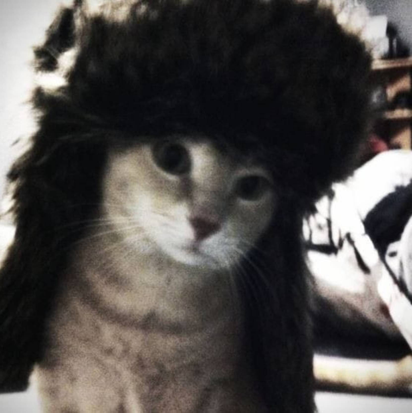 Иконка канала Кузя:3
