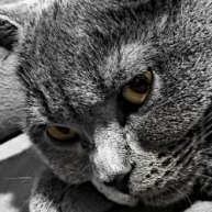 Иконка канала Prapor2003