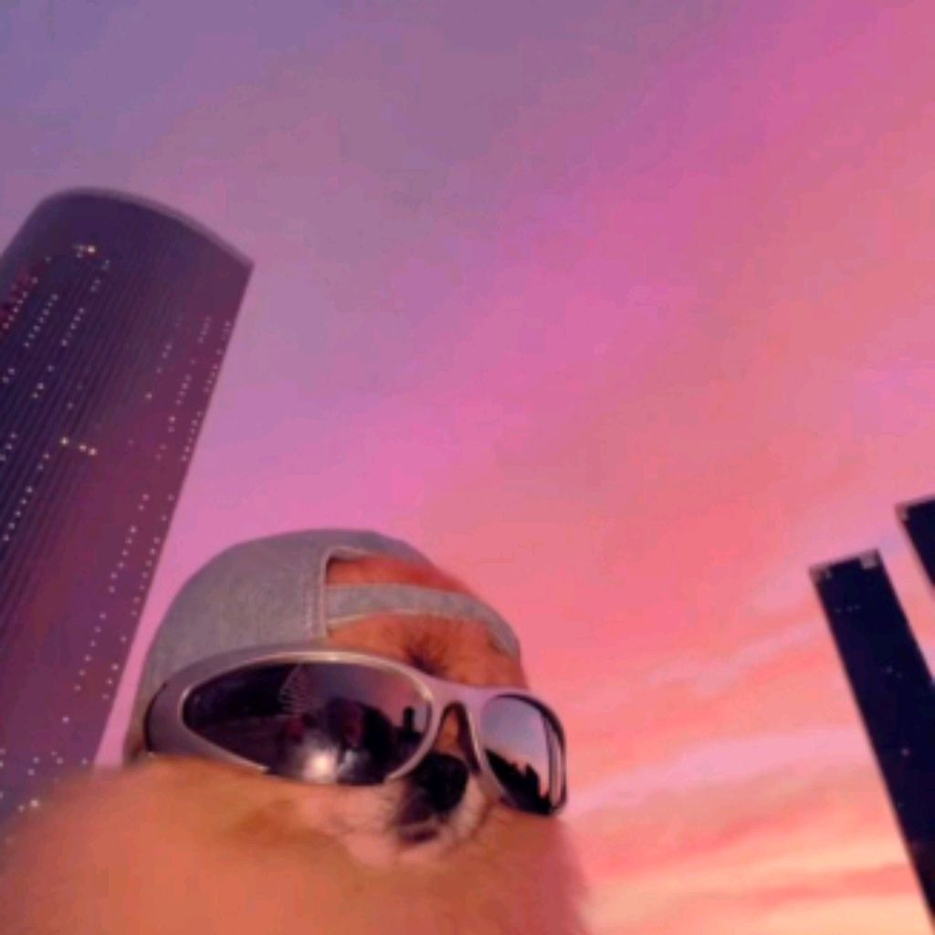 Иконка канала Тока Даня.