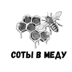 Иконка канала СОТЫ В МЕДУ