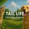 Иконка канала Tail Life