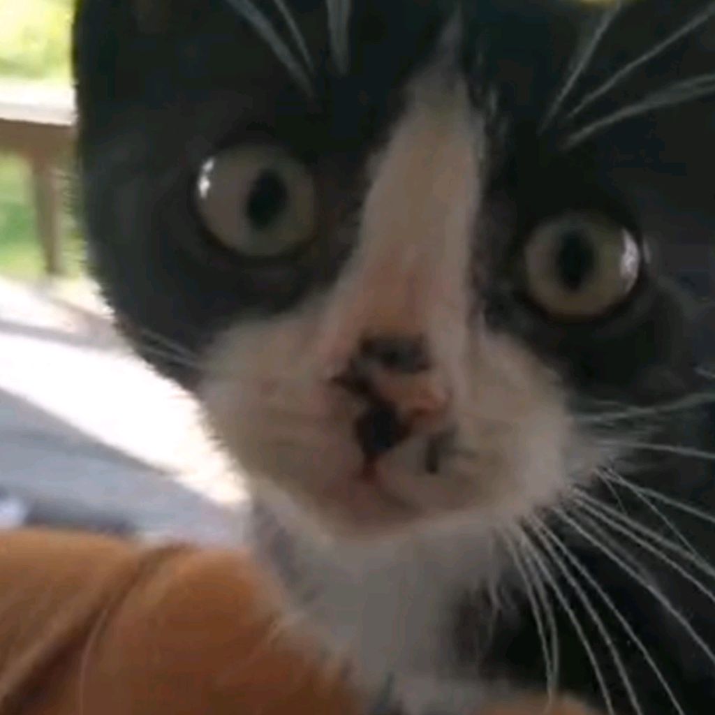 Иконка канала Look_Show_Look