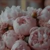 Иконка канала Христофор Лилия