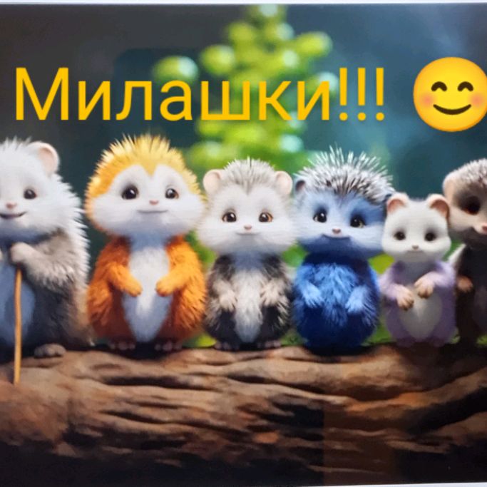 Аватар автора