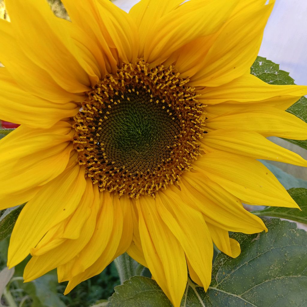 Иконка канала КаРАСиКИ-3