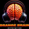 Иконка канала Orange Brain Enterprise