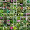 Иконка канала АроматнаяКрасота