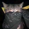 Иконка канала Тэкила (Игровой канал)
