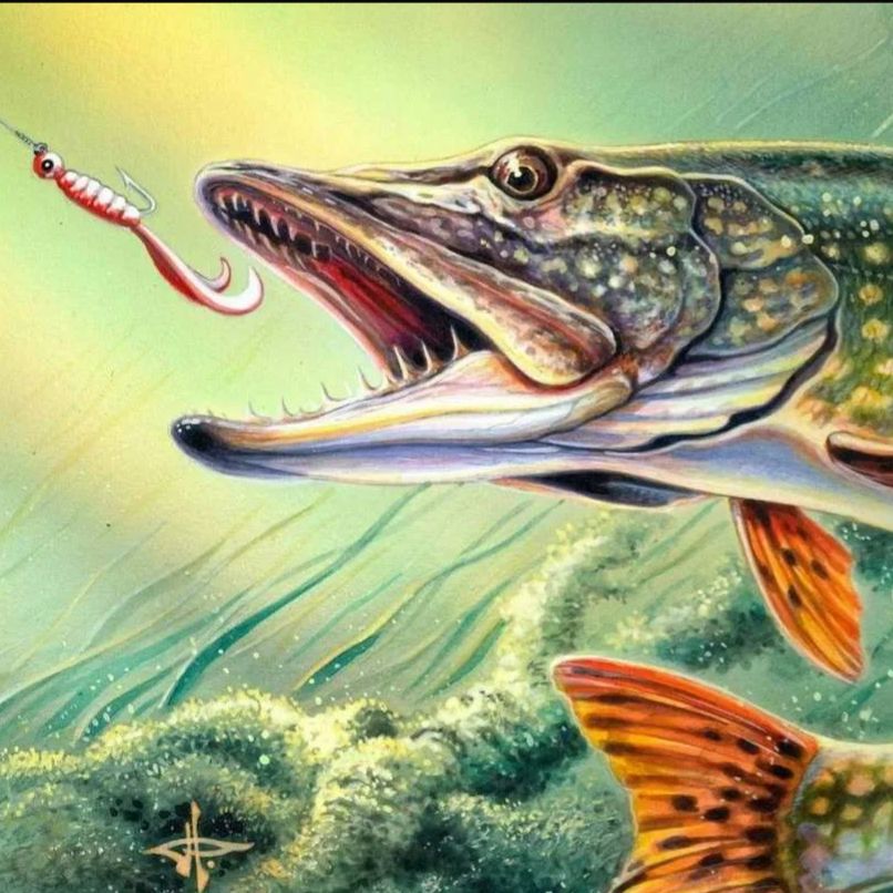 Аватар автора