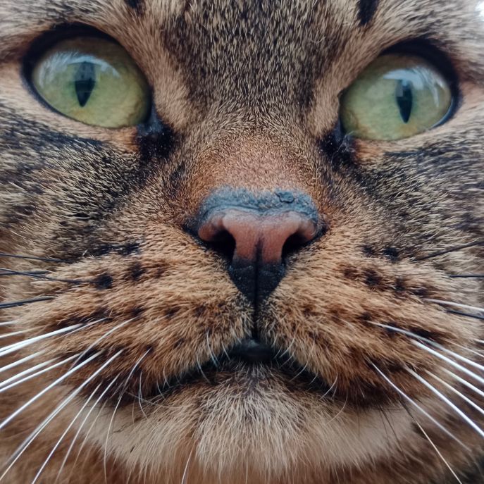 Иконка канала channel72261985