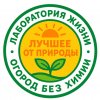 Иконка канала ПроЦвет Расти Цвети Сад Огород