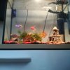 Иконка канала Суворова Виктория