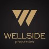 Иконка канала Wellside