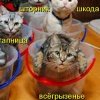 Иконка канала NeLLa