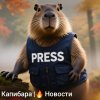 Иконка канала Капибара | Новости дня в МАХ.
