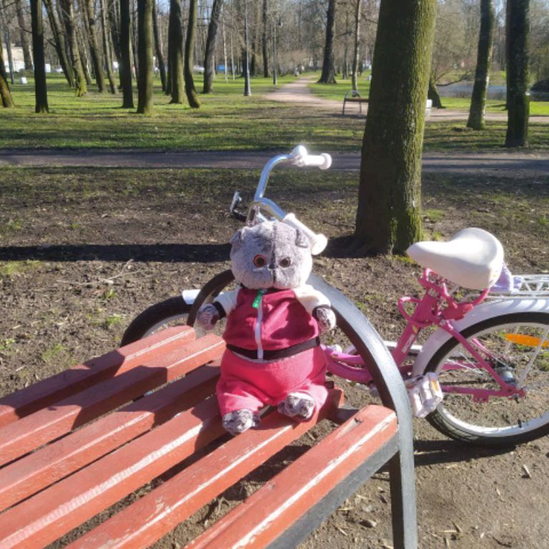 Аватар автора