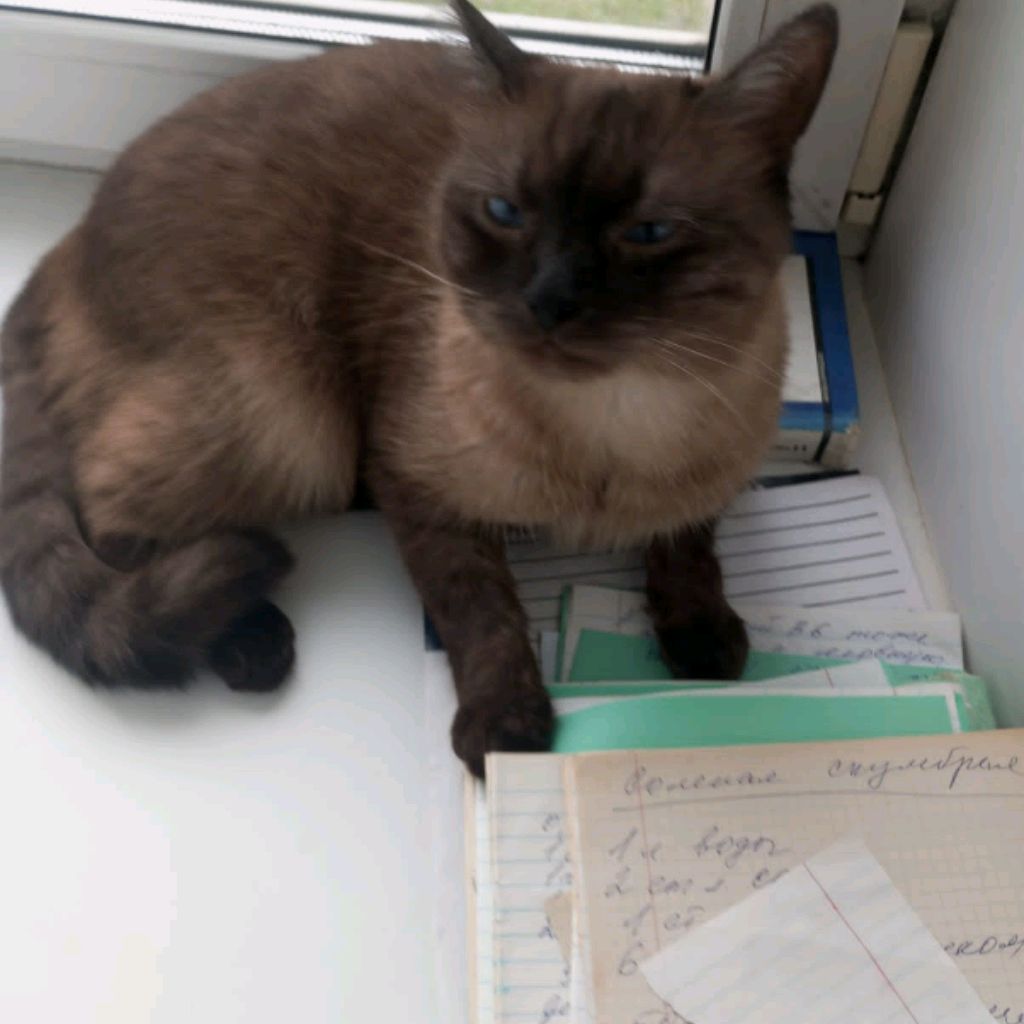 Иконка канала В гостях у Матвея