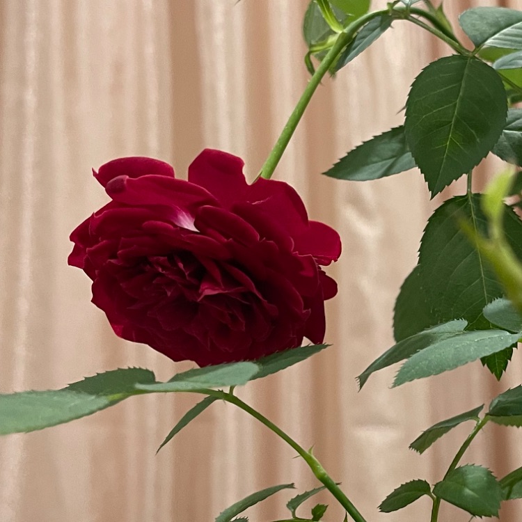 Иконка канала Nadezda3036